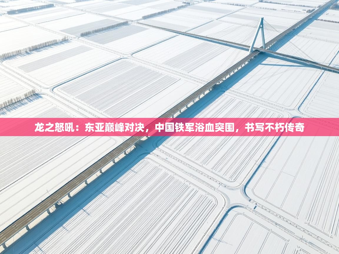 龙之怒吼：东亚巅峰对决，中国铁军浴血突围，书写不朽传奇  第2张