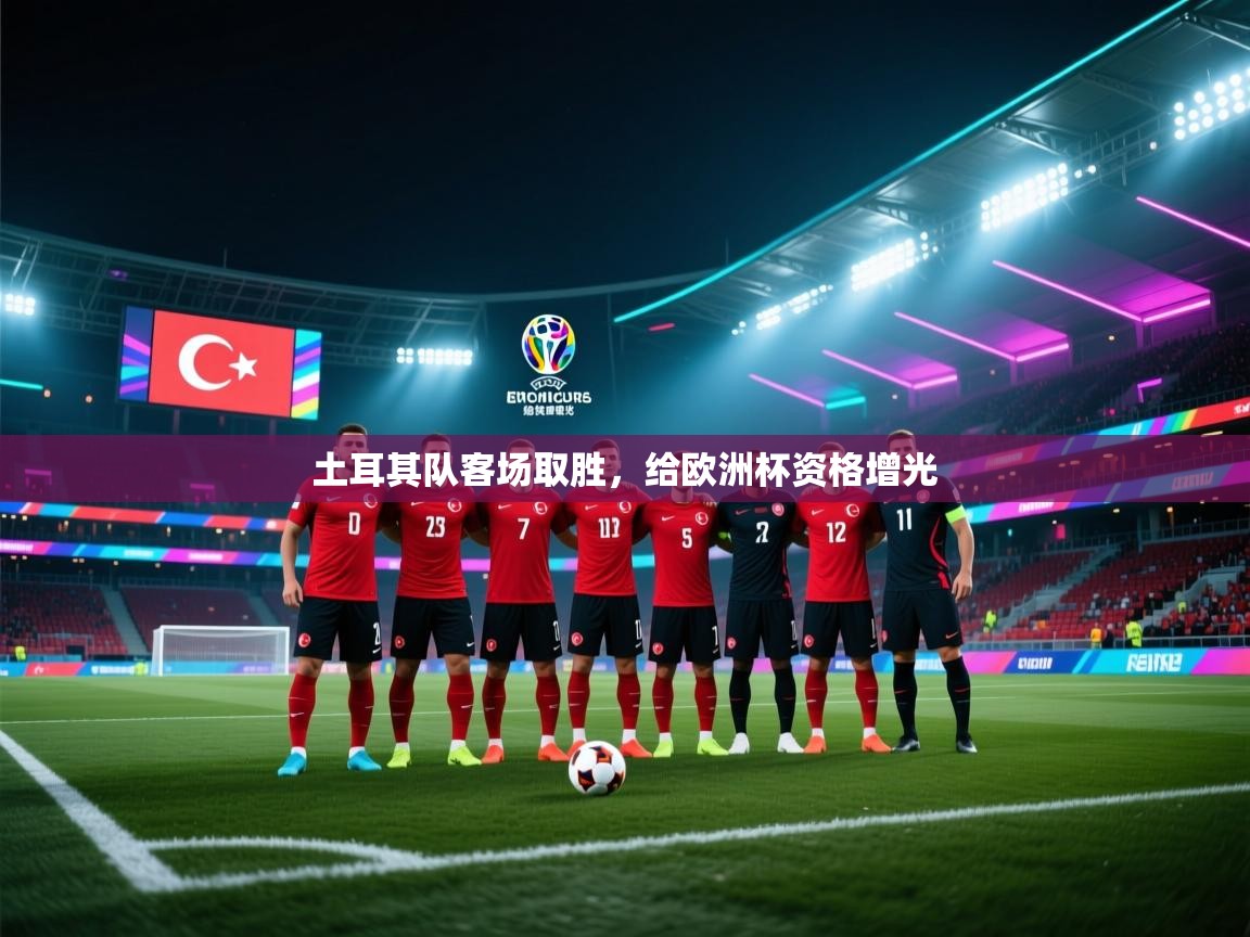 土耳其队客场取胜,给欧洲杯资格增光 第1张