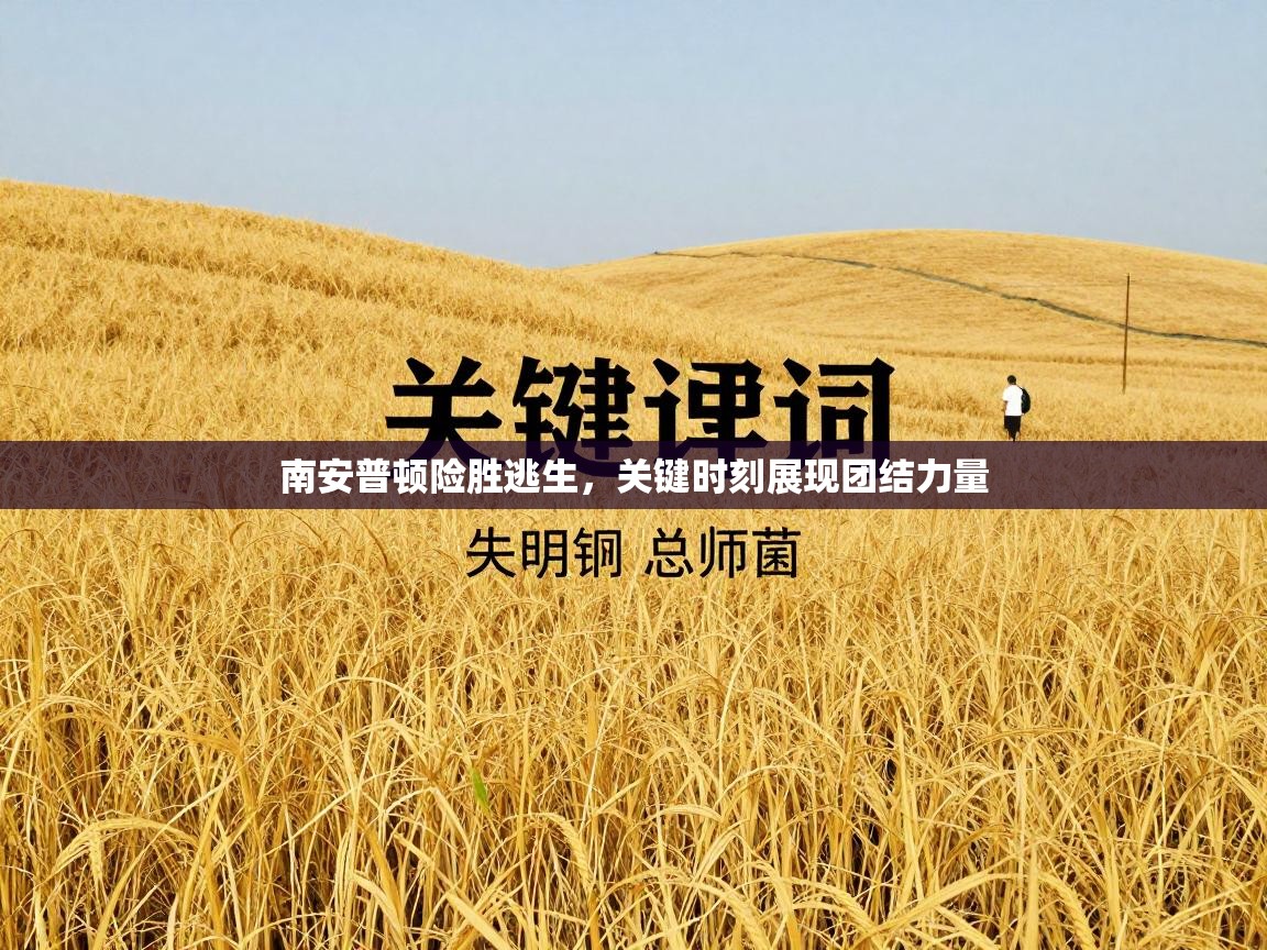 南安普顿险胜逃生，关键时刻展现团结力量  第1张